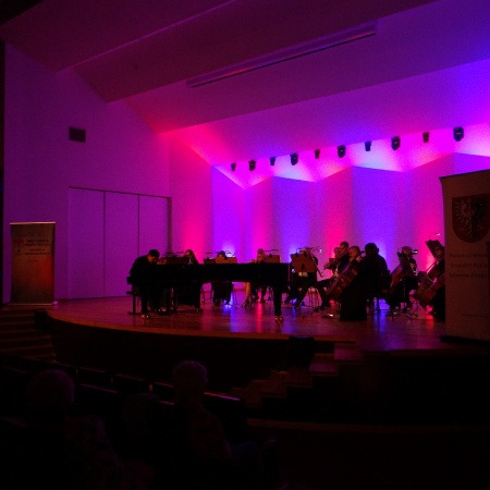 XXV Letni Festiwal Muzyczny - Maksymalnie filmowo_3