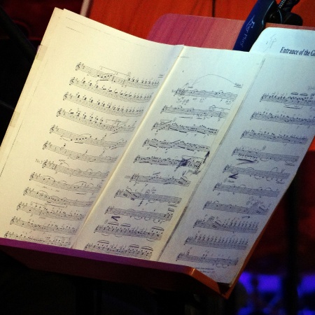WIELKA SŁAWA TO ŻART - KONCERT KARNAWAŁOWY_5